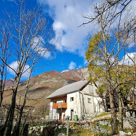 Stara Hisa Apartamento Log Cezsoski Exterior foto