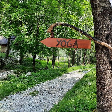 Stara Hisa Apartamento Log Cezsoski Exterior foto
