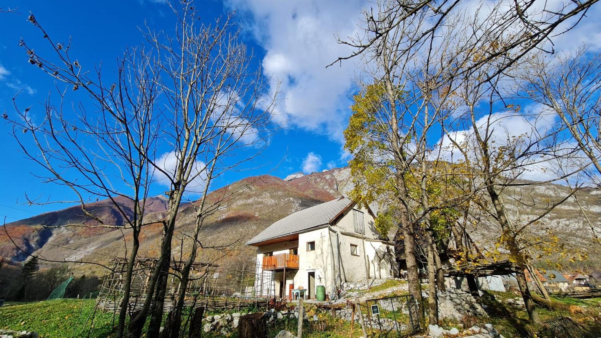 Stara Hisa Apartamento Log Cezsoski Exterior foto